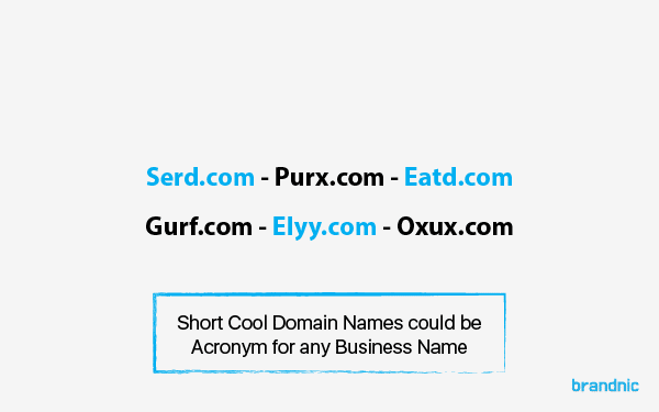 Short Letter Domain Names