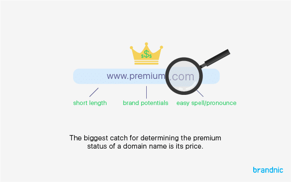 3 Golden Rules on How To Detect Whether a Domain is Premium