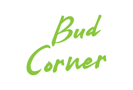 BudCorner.com- Buy this brand name at Brandnic.com