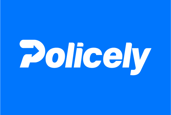 Policely.com- Buy this brand name at Brandnic.com