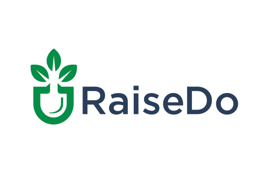 RaiseDo.com large logo