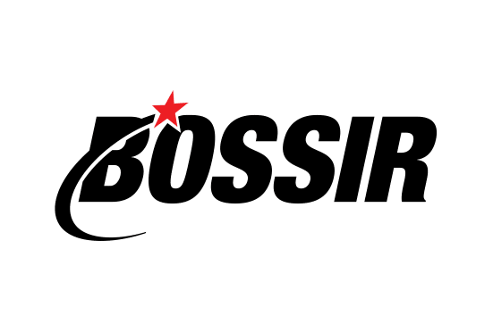 Bossir.com- Buy this brand name at Brandnic.com