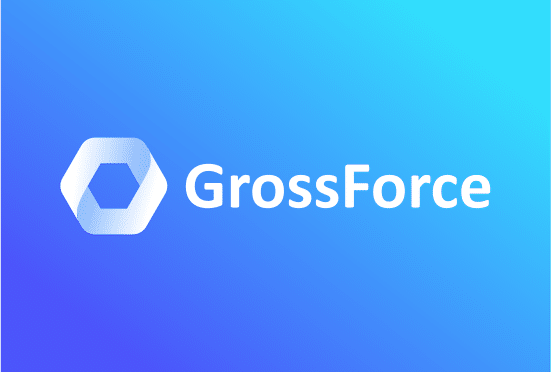 GrossForce.com- Buy this brand name at Brandnic.com