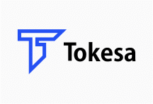 Tokesa.com small logo