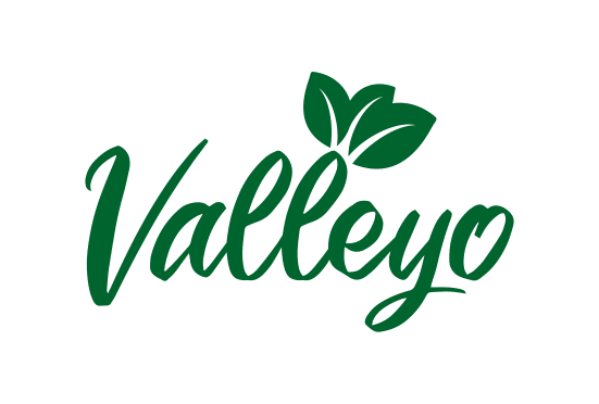 Valleyo.com- Buy this brand name at Brandnic.com