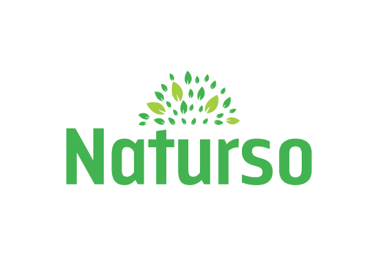 ﻿Naturso.com- Buy this brand name at Brandnic.com